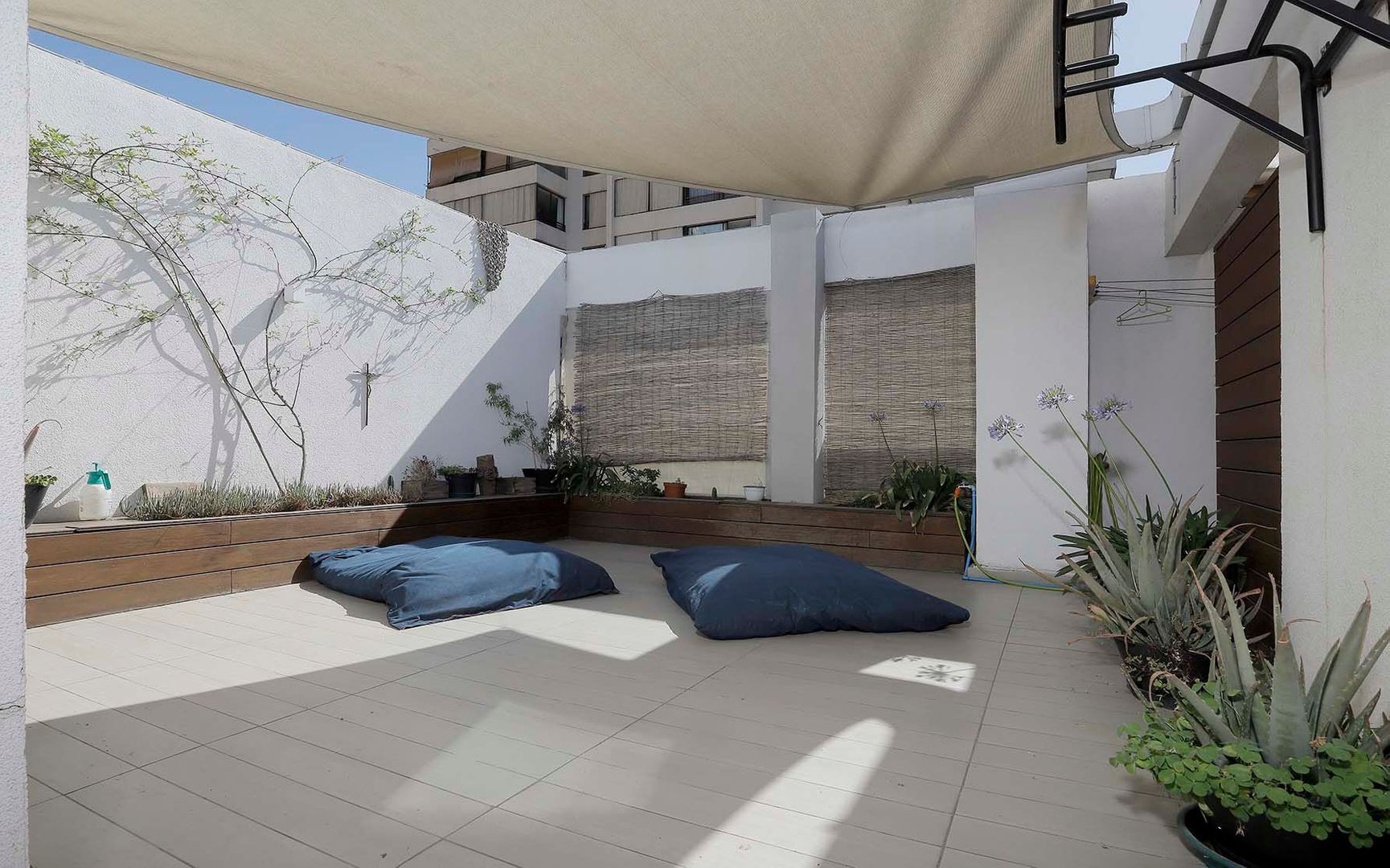 Domingo Bondi, Santiago foto-40