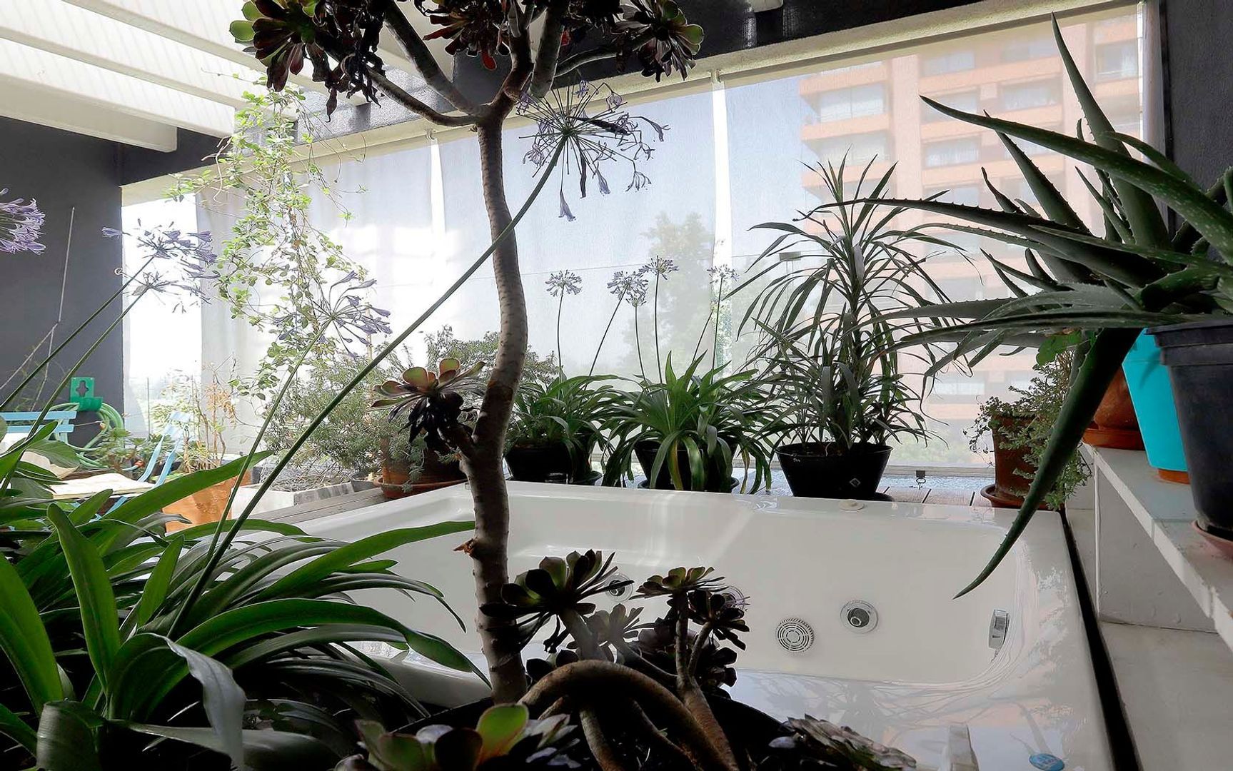 Domingo Bondi, Santiago foto-25