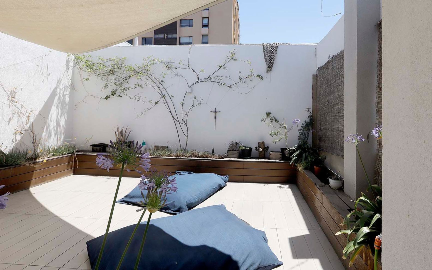 Domingo Bondi, Santiago foto-39