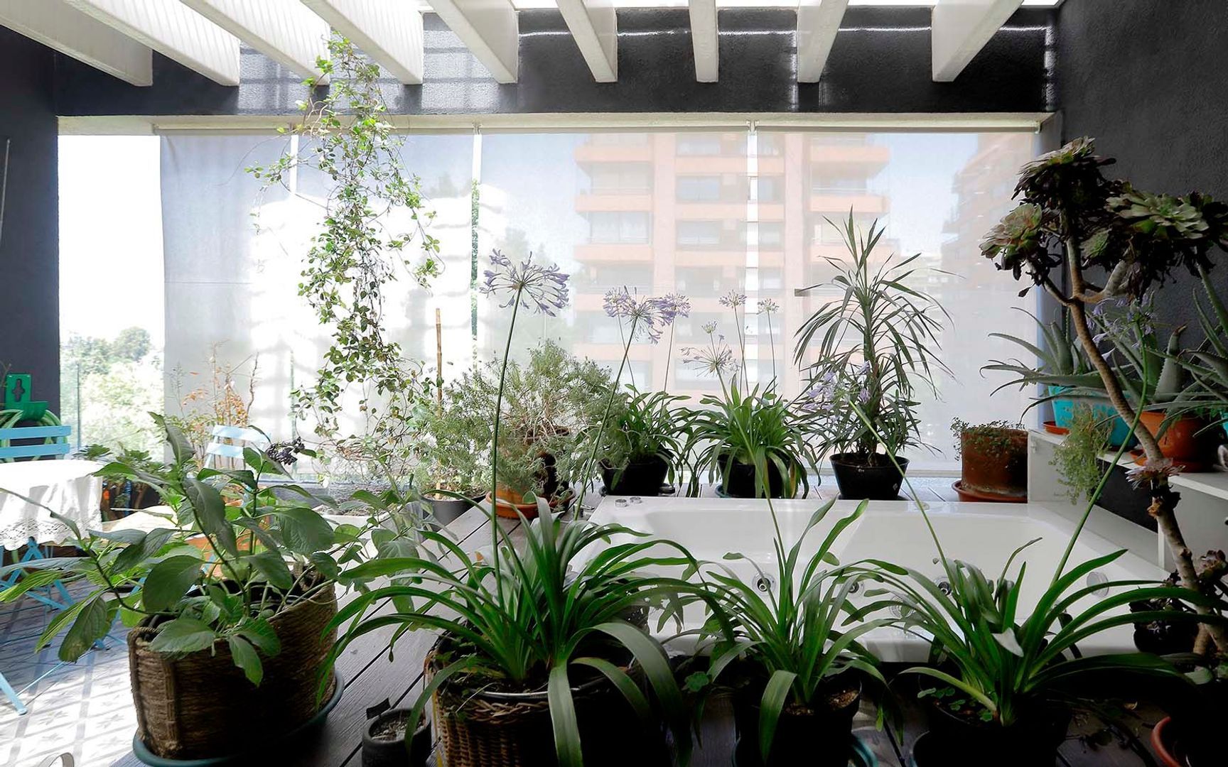 Domingo Bondi, Santiago foto-24