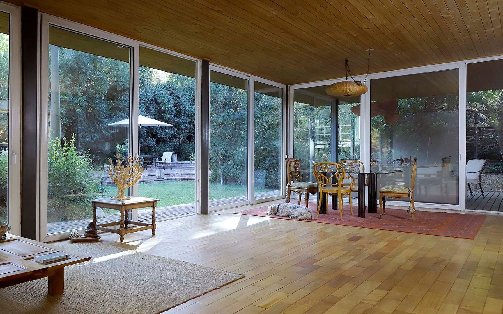 El Maitén, Santiago foto-6