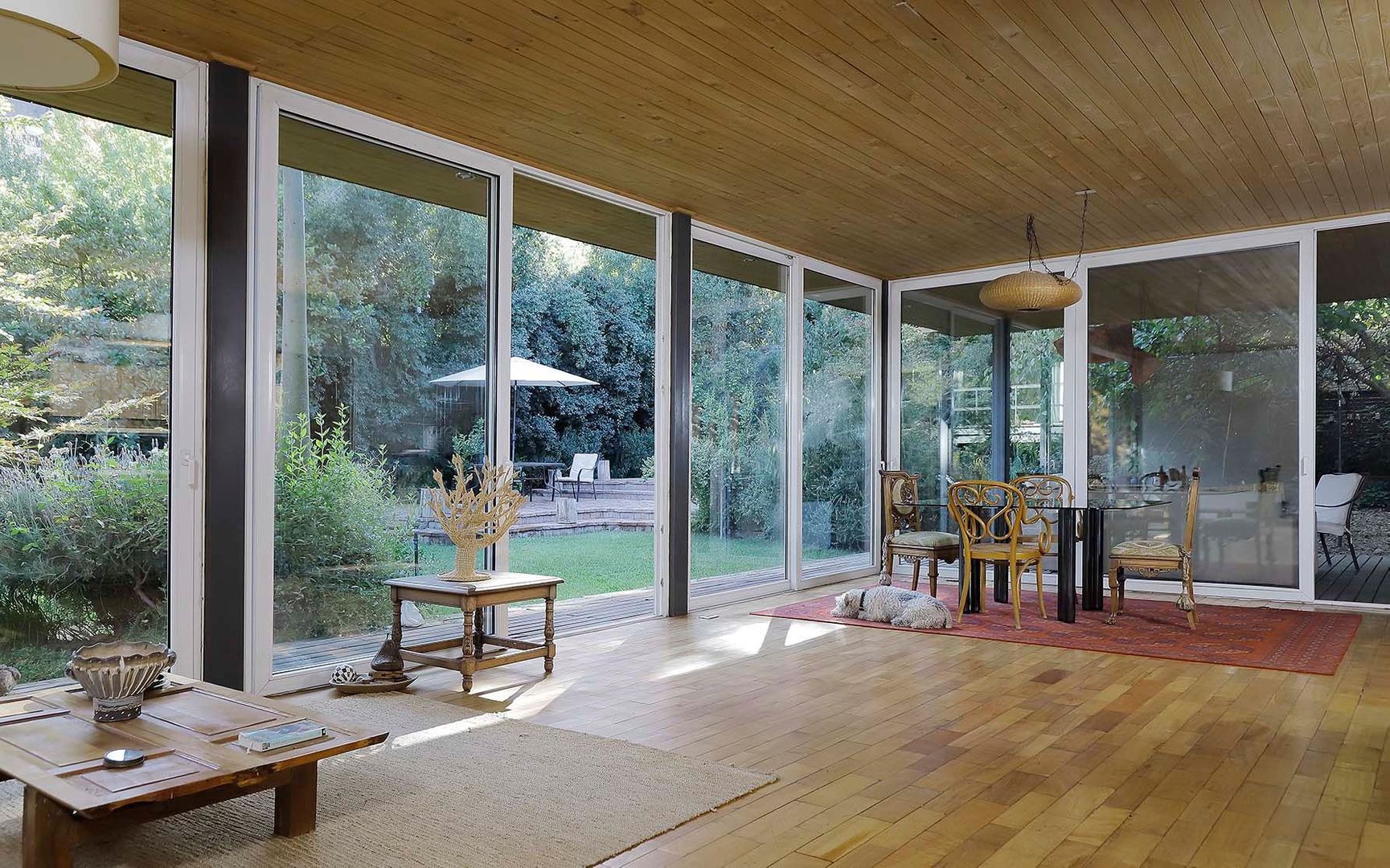 El Maitén, Santiago foto-7