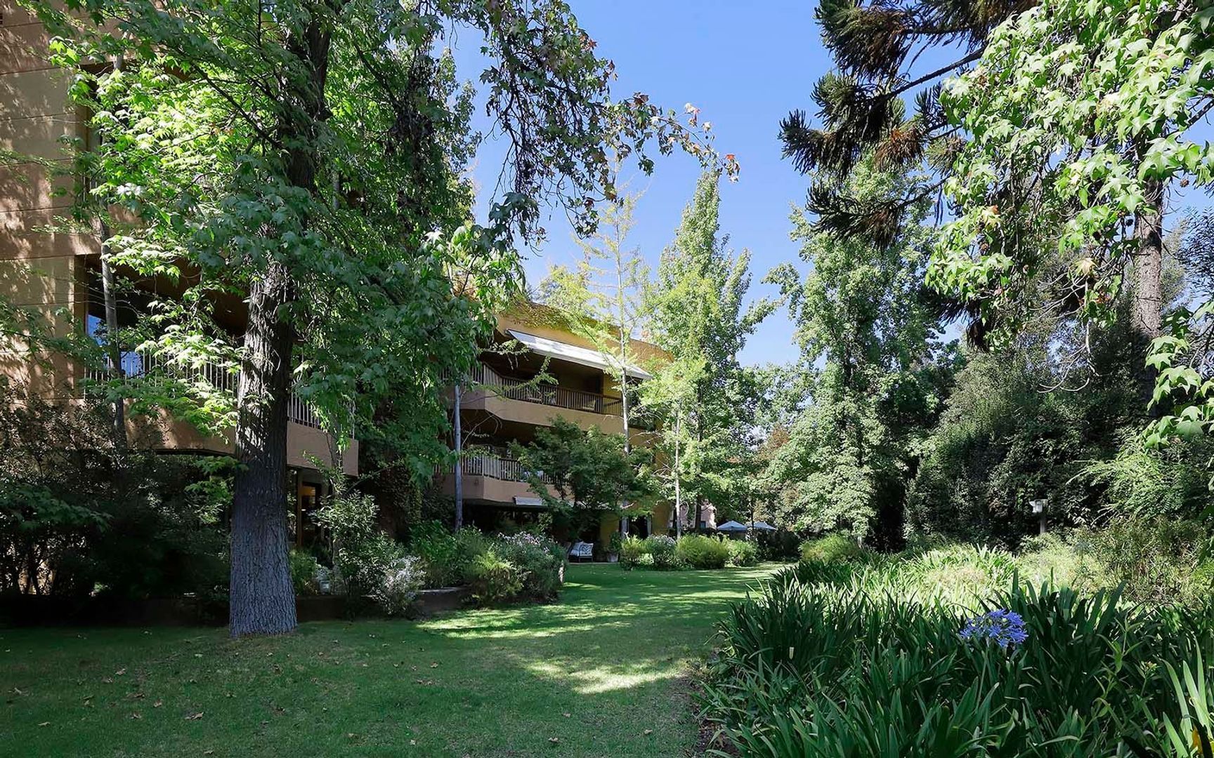 Camino Las Flores, Santiago foto-35