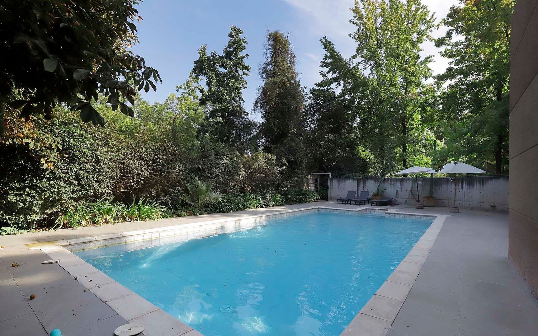 Camino Las Flores, Santiago foto-41