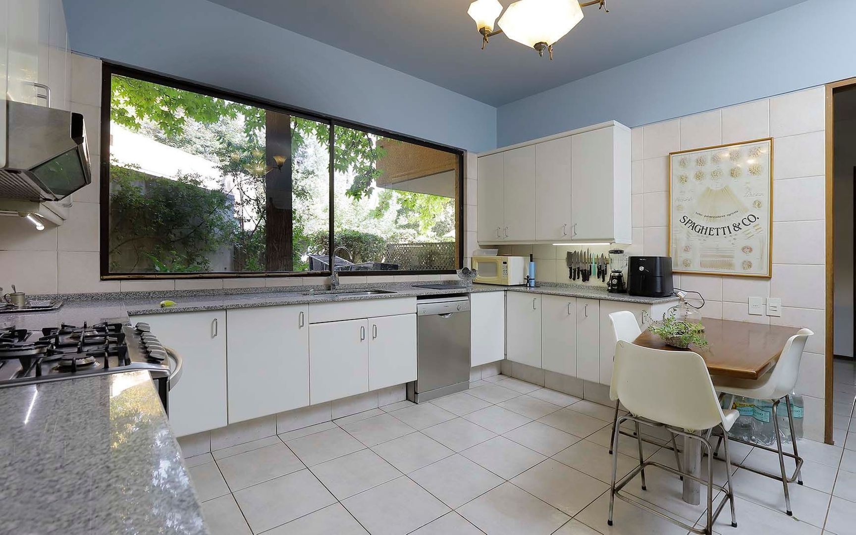 Camino Las Flores, Santiago foto-10