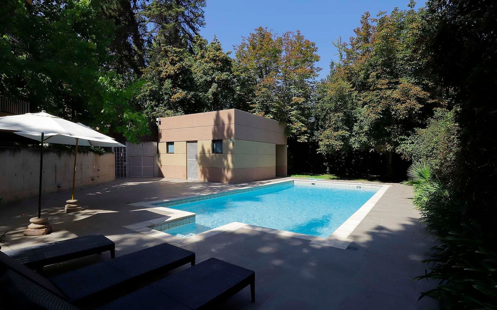 Camino Las Flores, Santiago foto-40