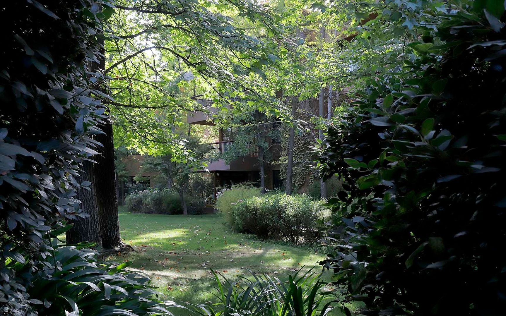 Camino Las Flores, Santiago foto-30