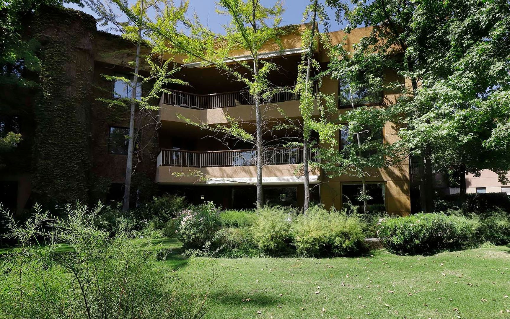 Camino Las Flores, Santiago foto-33