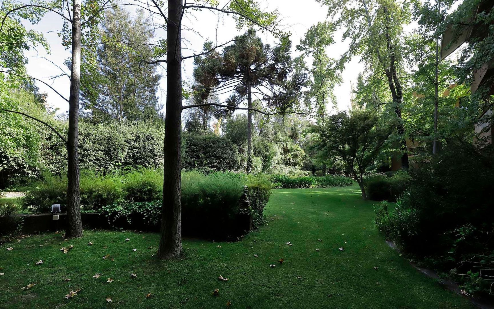 Camino Las Flores, Santiago foto-32