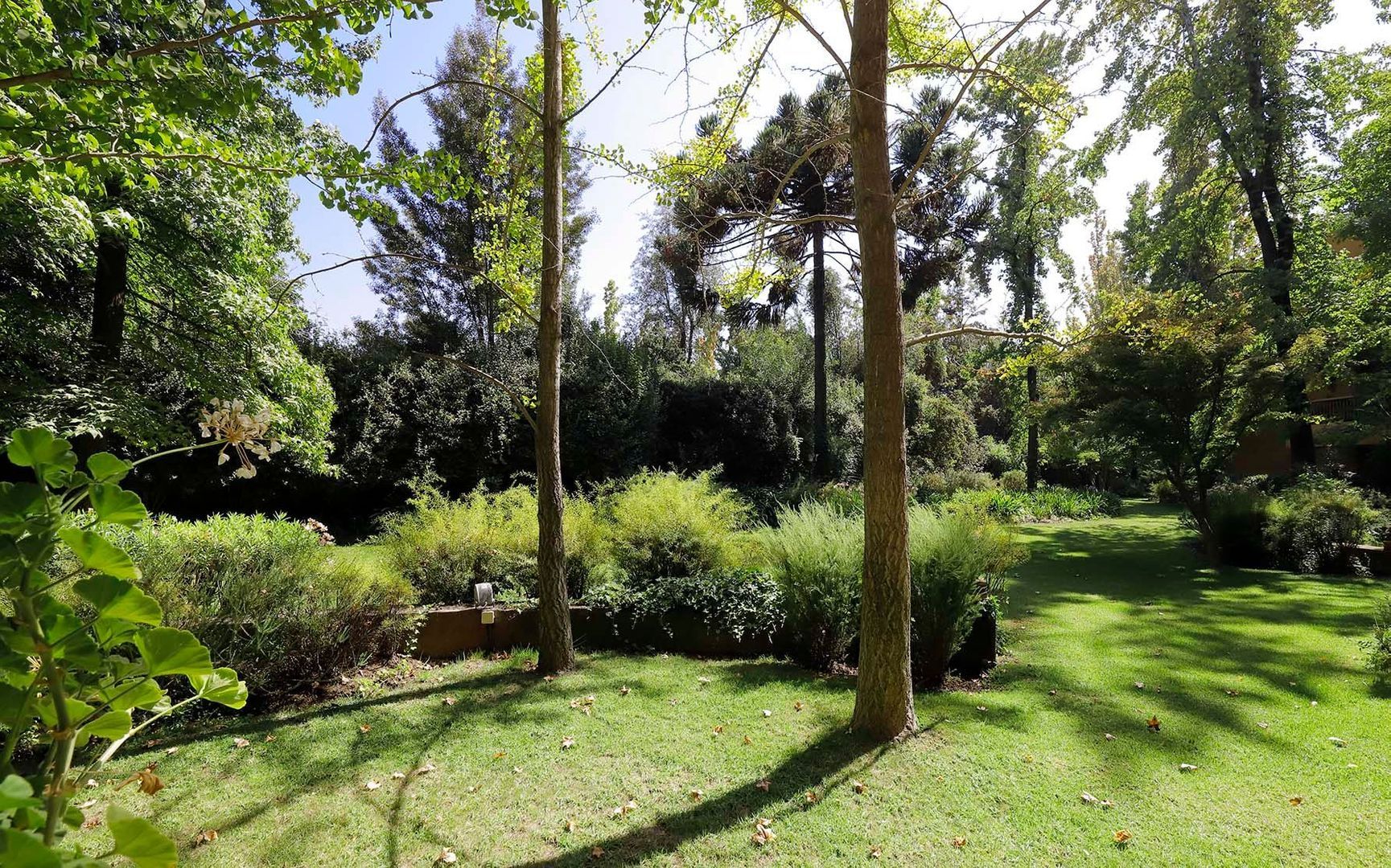 Camino Las Flores, Santiago foto-36