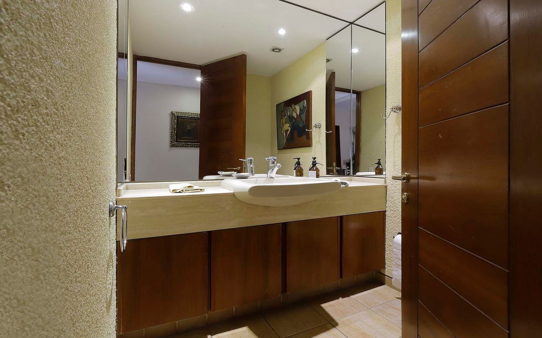 Camino Las Flores, Santiago foto-12