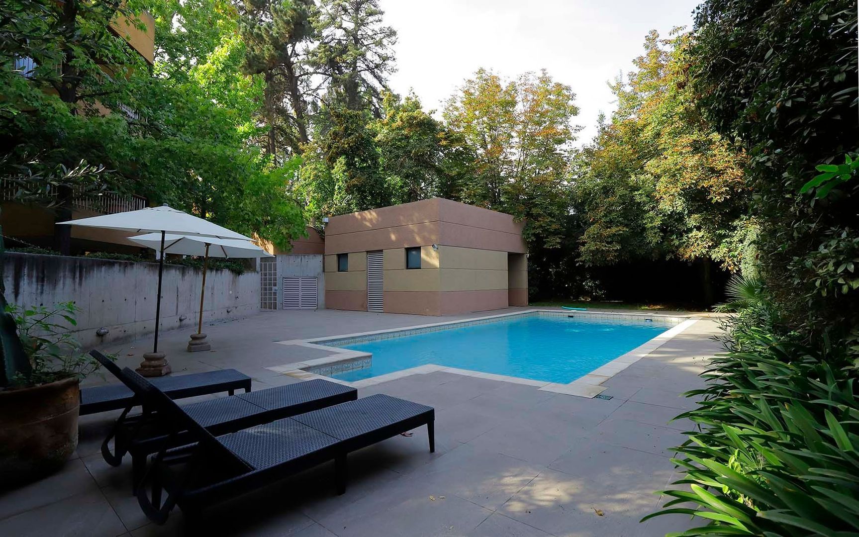 Camino Las Flores, Santiago foto-42