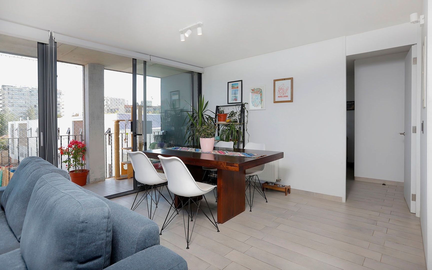 Echeñique, Santiago foto-5