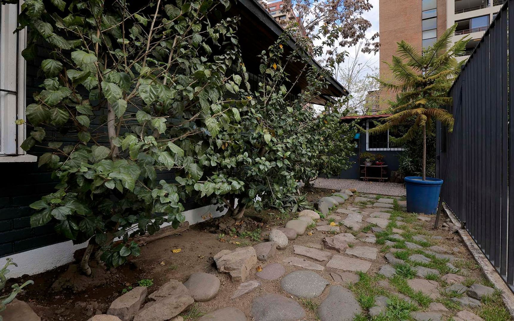 Blanca Nieves, Santiago foto-4