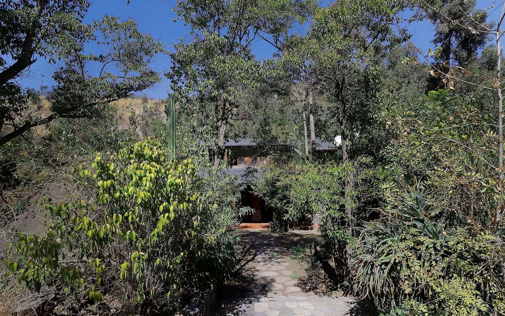 Pastor Fernández, Santiago foto-37