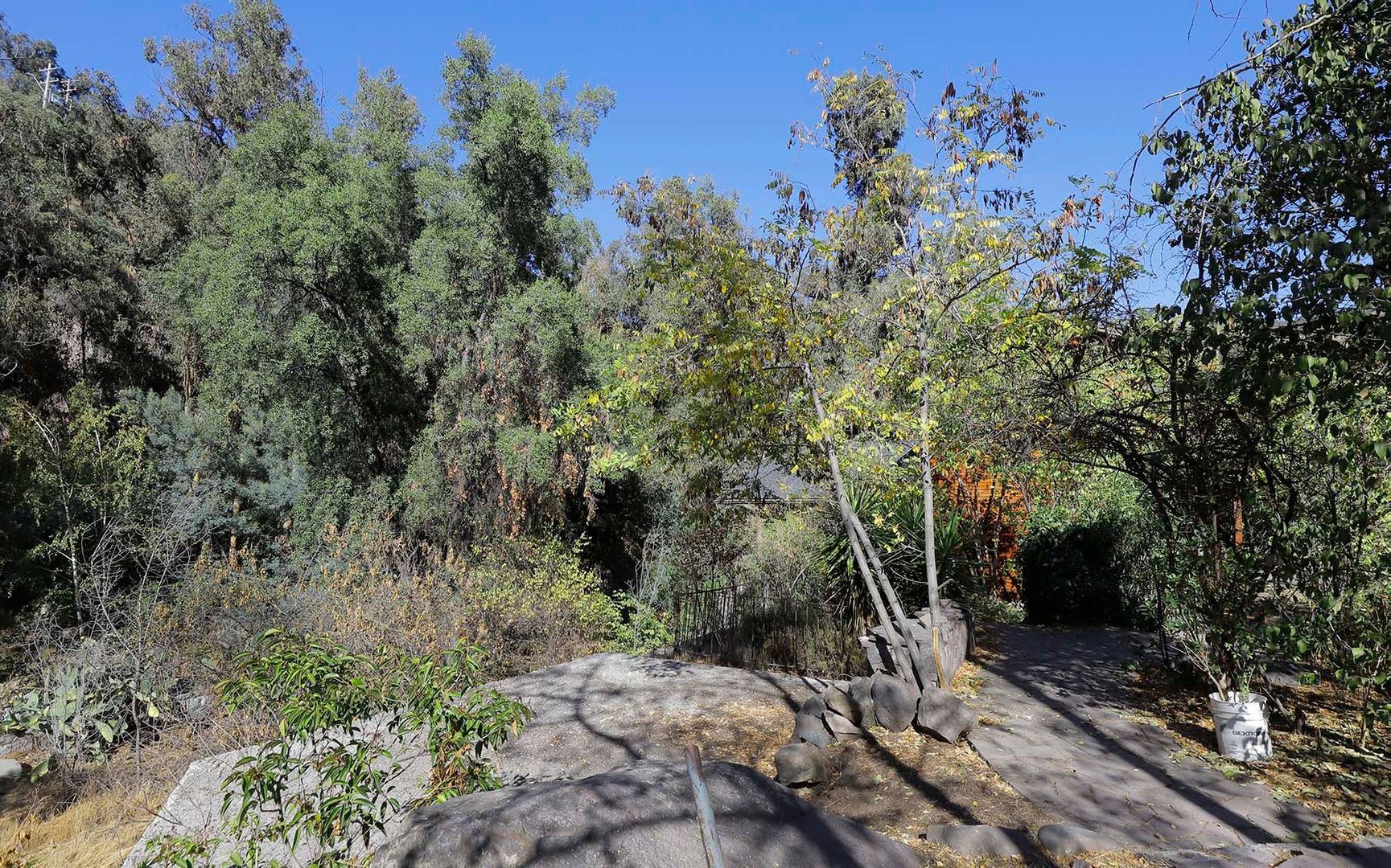 Pastor Fernández, Santiago foto-18