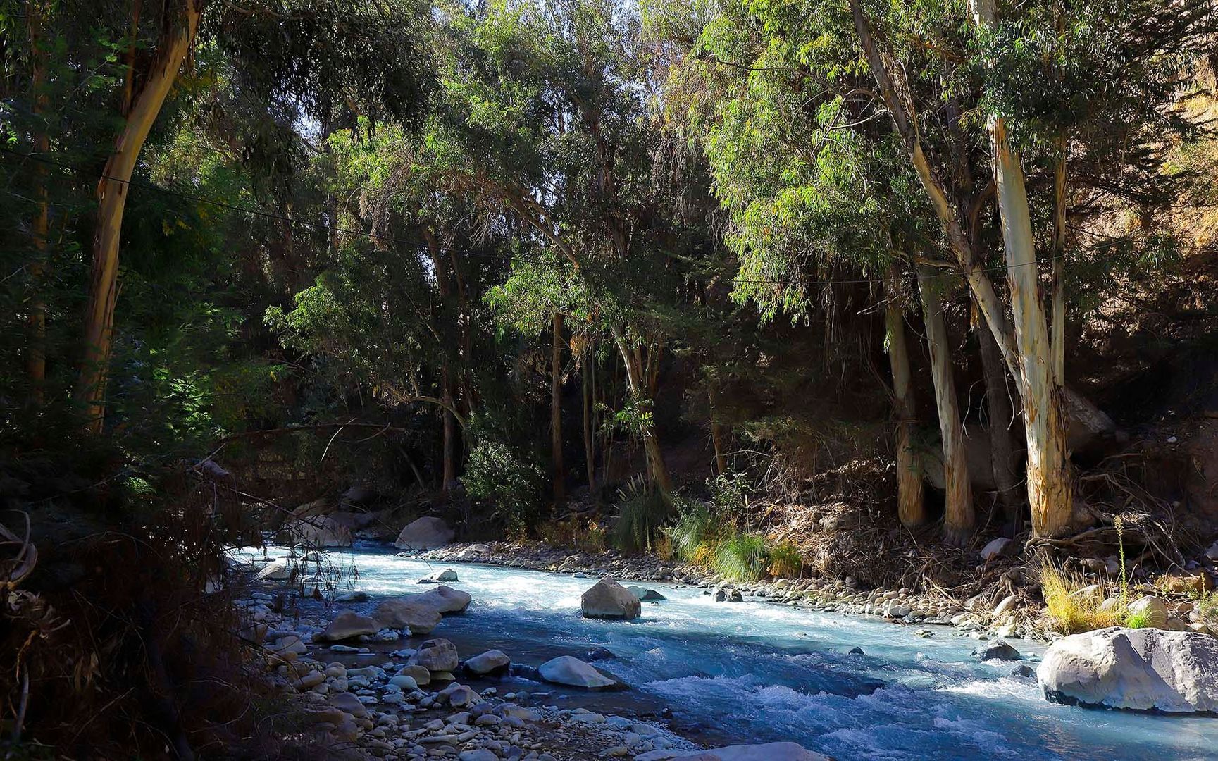 Pastor Fernández, Santiago foto-20