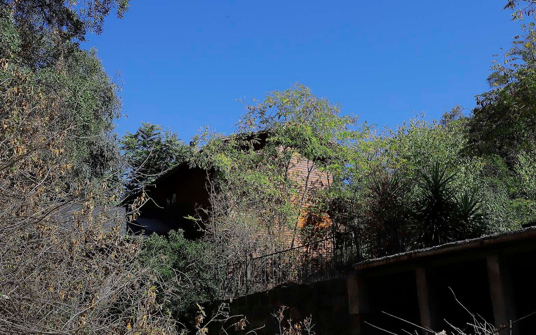 Pastor Fernández, Santiago foto-25