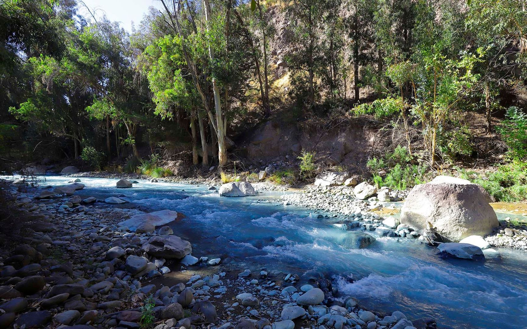 Pastor Fernández, Santiago foto-21