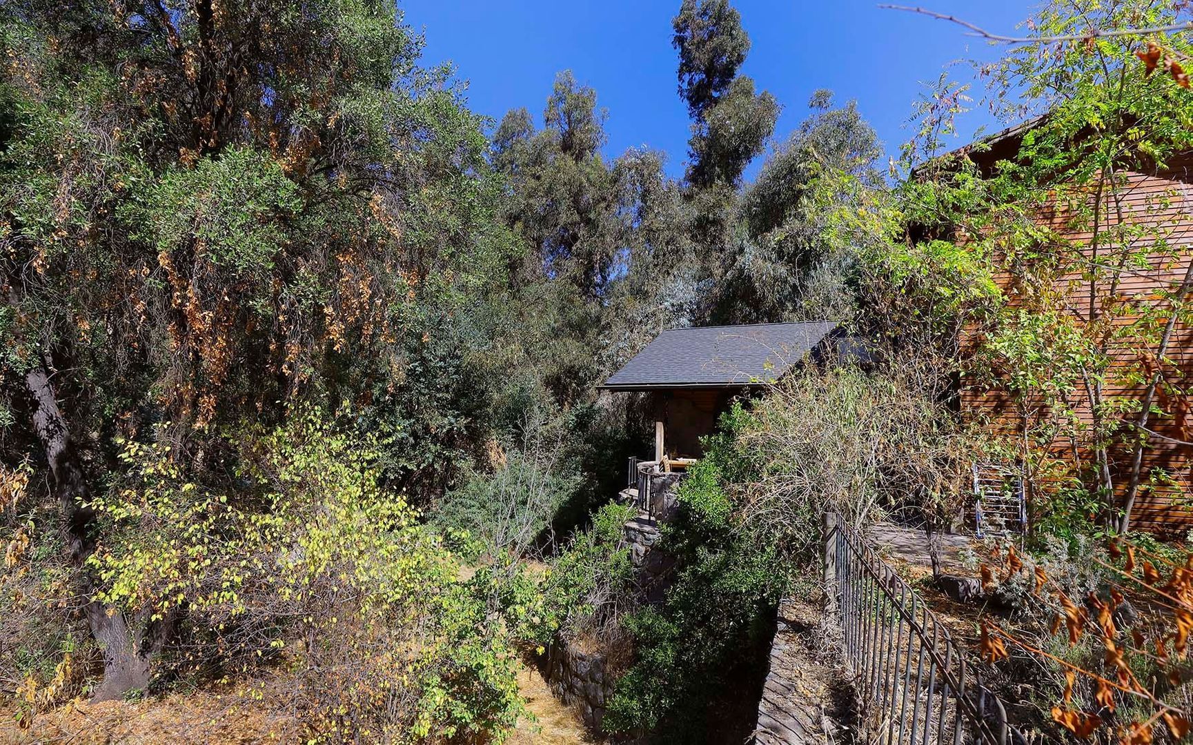 Pastor Fernández, Santiago foto-33