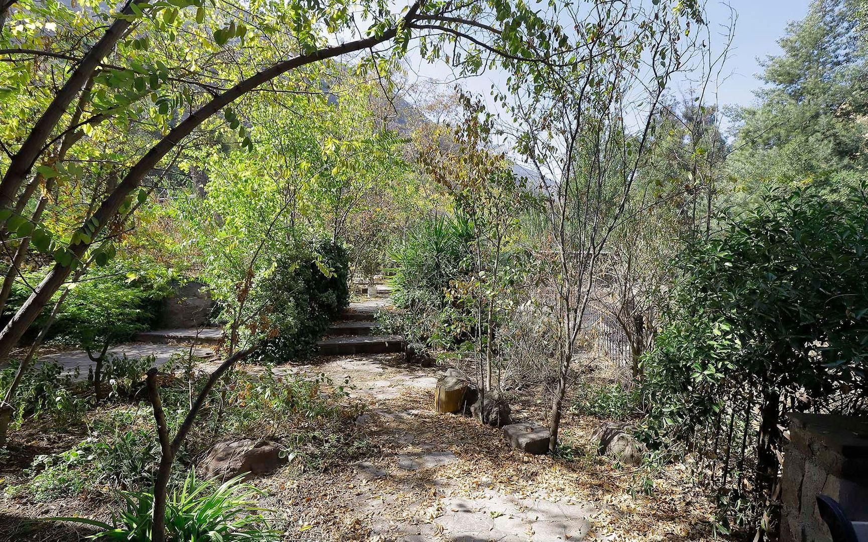 Pastor Fernández, Santiago foto-41