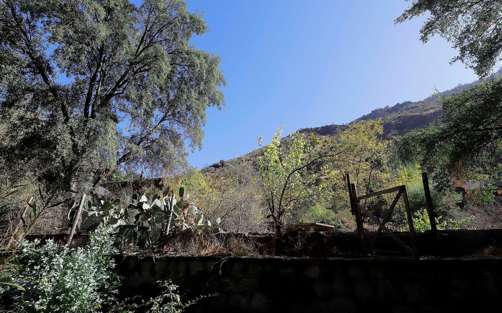 Pastor Fernández, Santiago foto-23