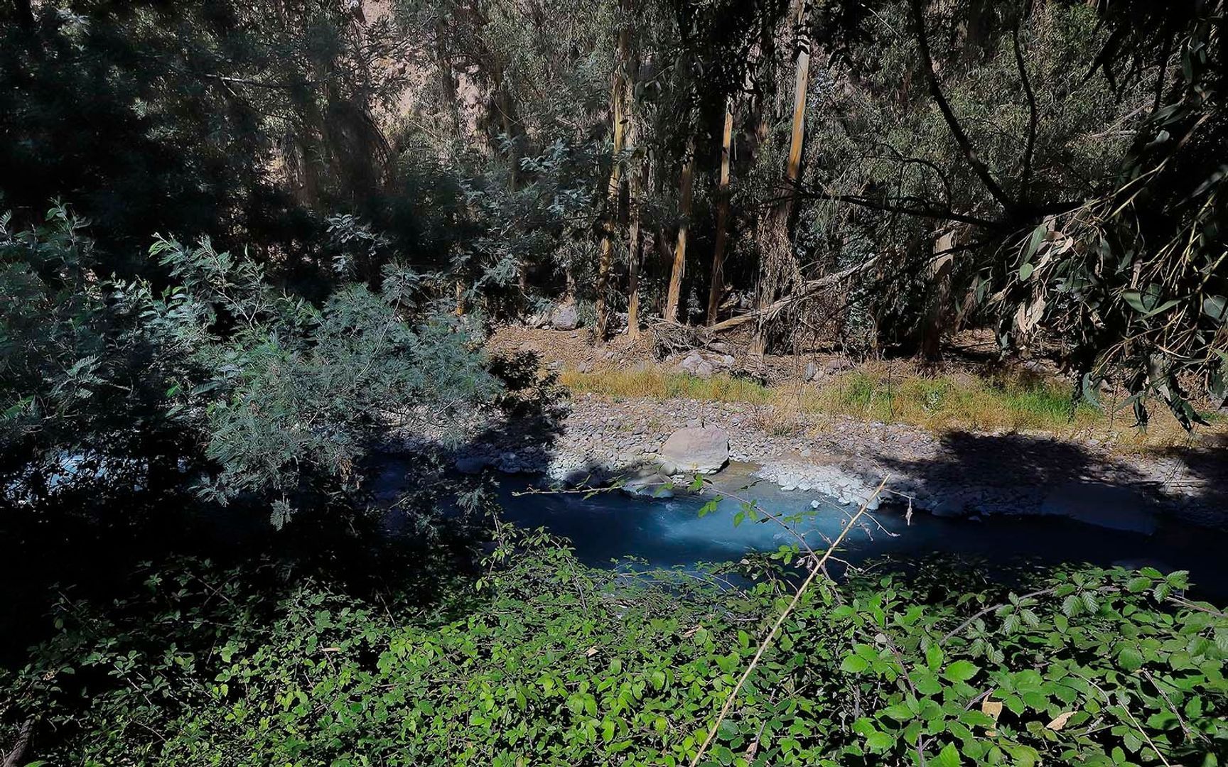 Pastor Fernández, Santiago foto-35