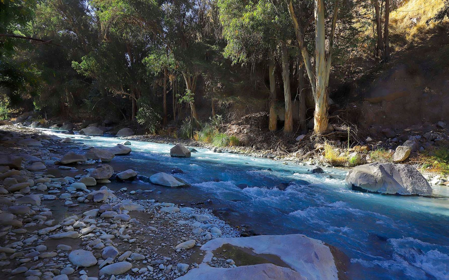 Pastor Fernández, Santiago foto-24