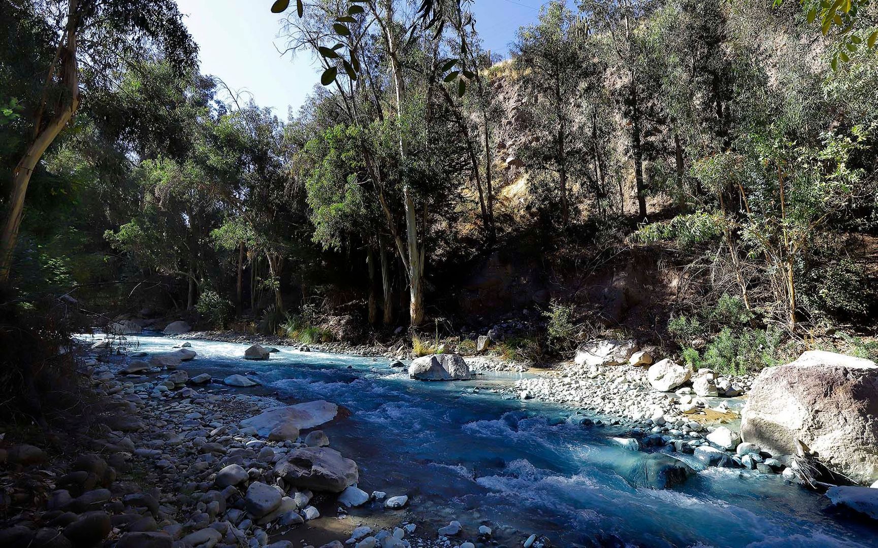 Pastor Fernández, Santiago foto-22
