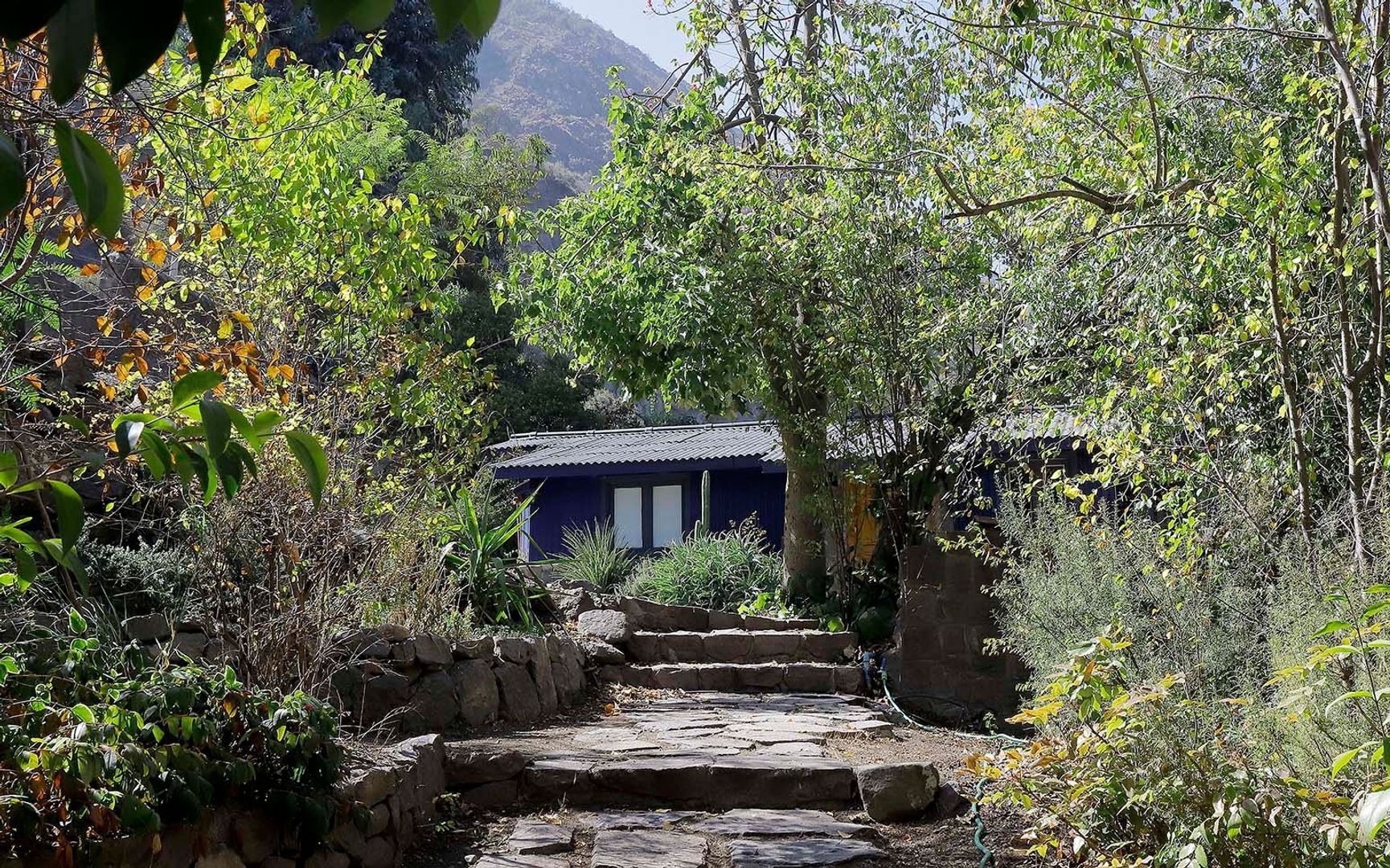 Pastor Fernández, Santiago foto-38