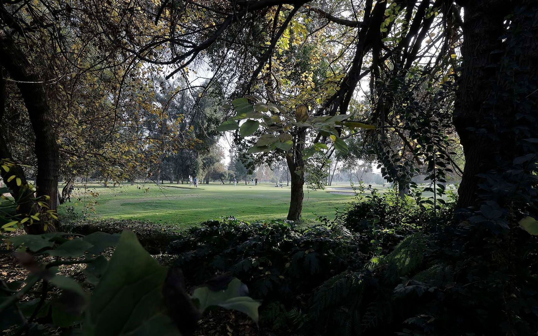 Monseñor Edwards, Santiago foto-14