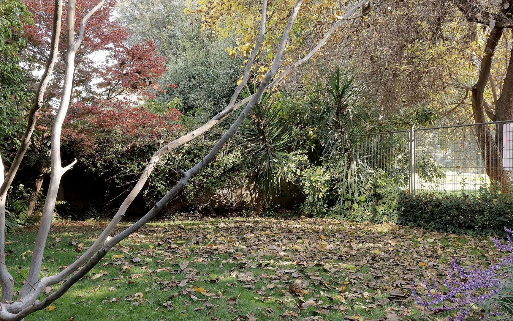 Monseñor Edwards, Santiago foto-11