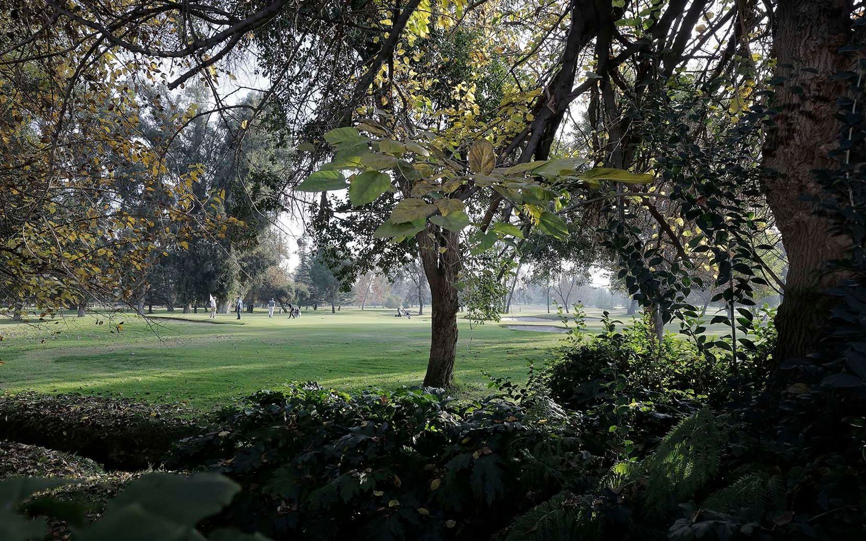 Monseñor Edwards, Santiago foto-13