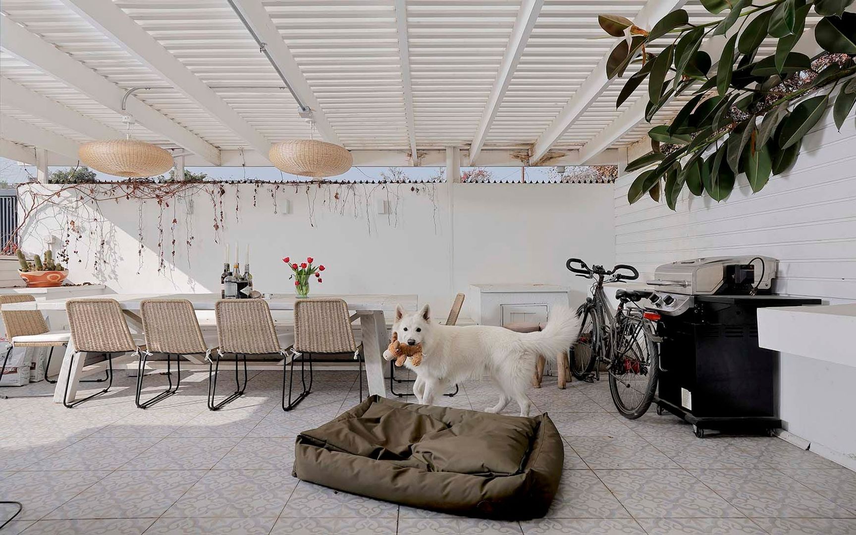 Copihual, Santiago foto-13