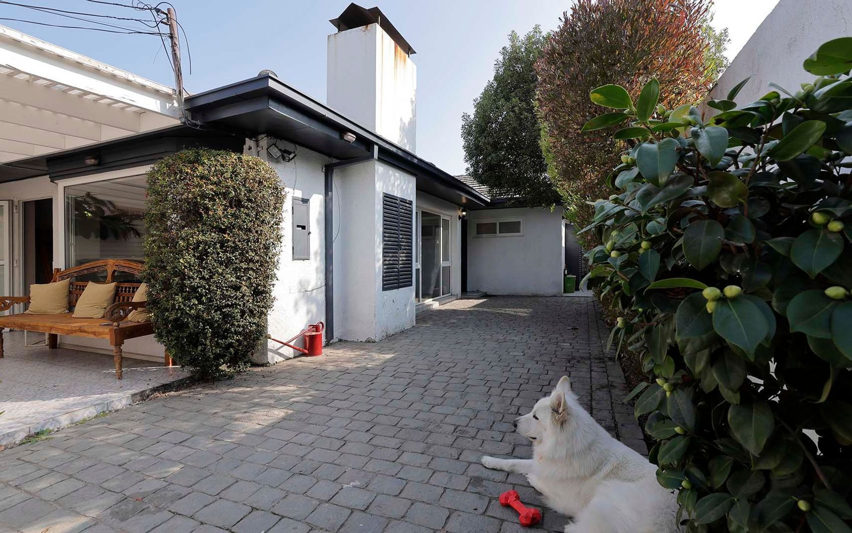 Copihual, Santiago foto-1