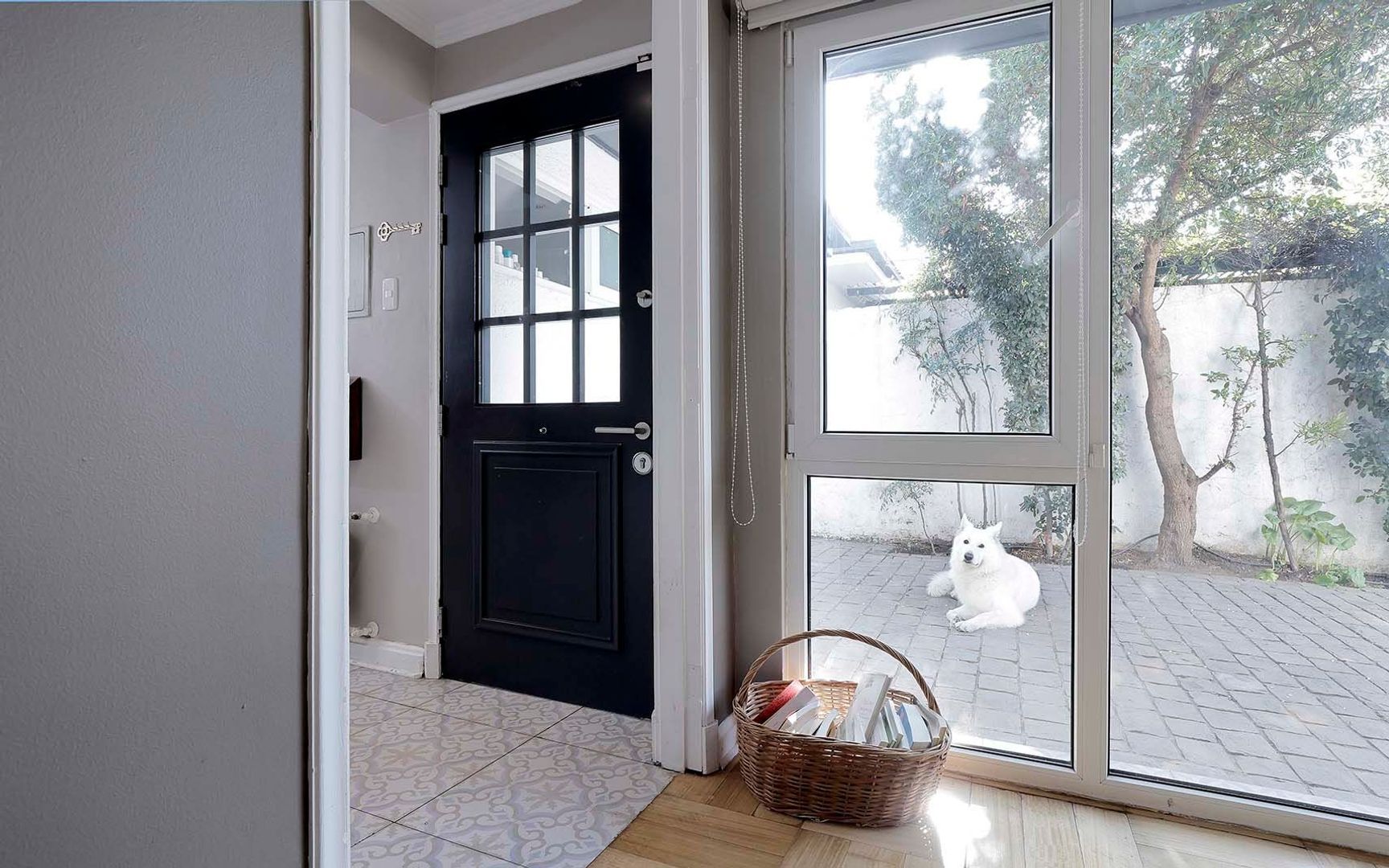 Copihual, Santiago foto-3