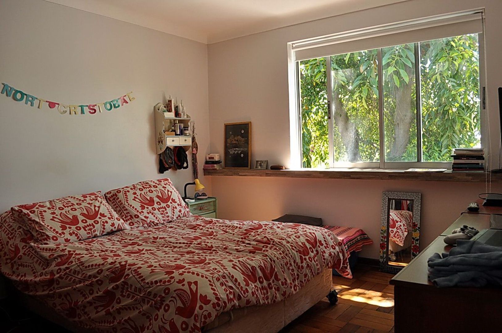 Diagonal Oriente, Santiago foto-19