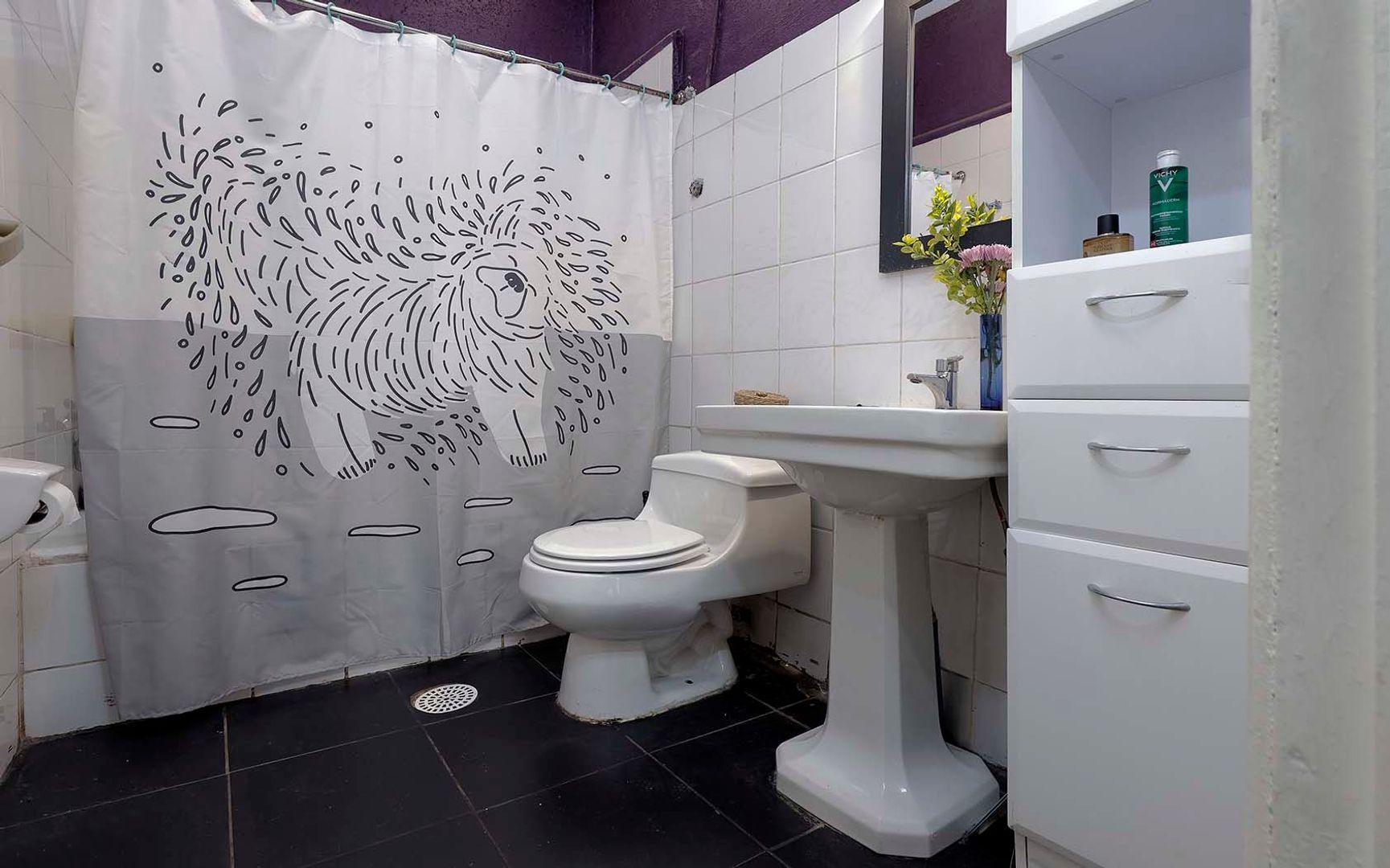 Luis Beltrán, Santiago foto-14