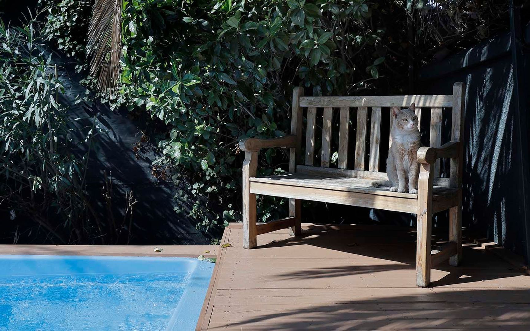 Luis Beltrán, Santiago foto-18