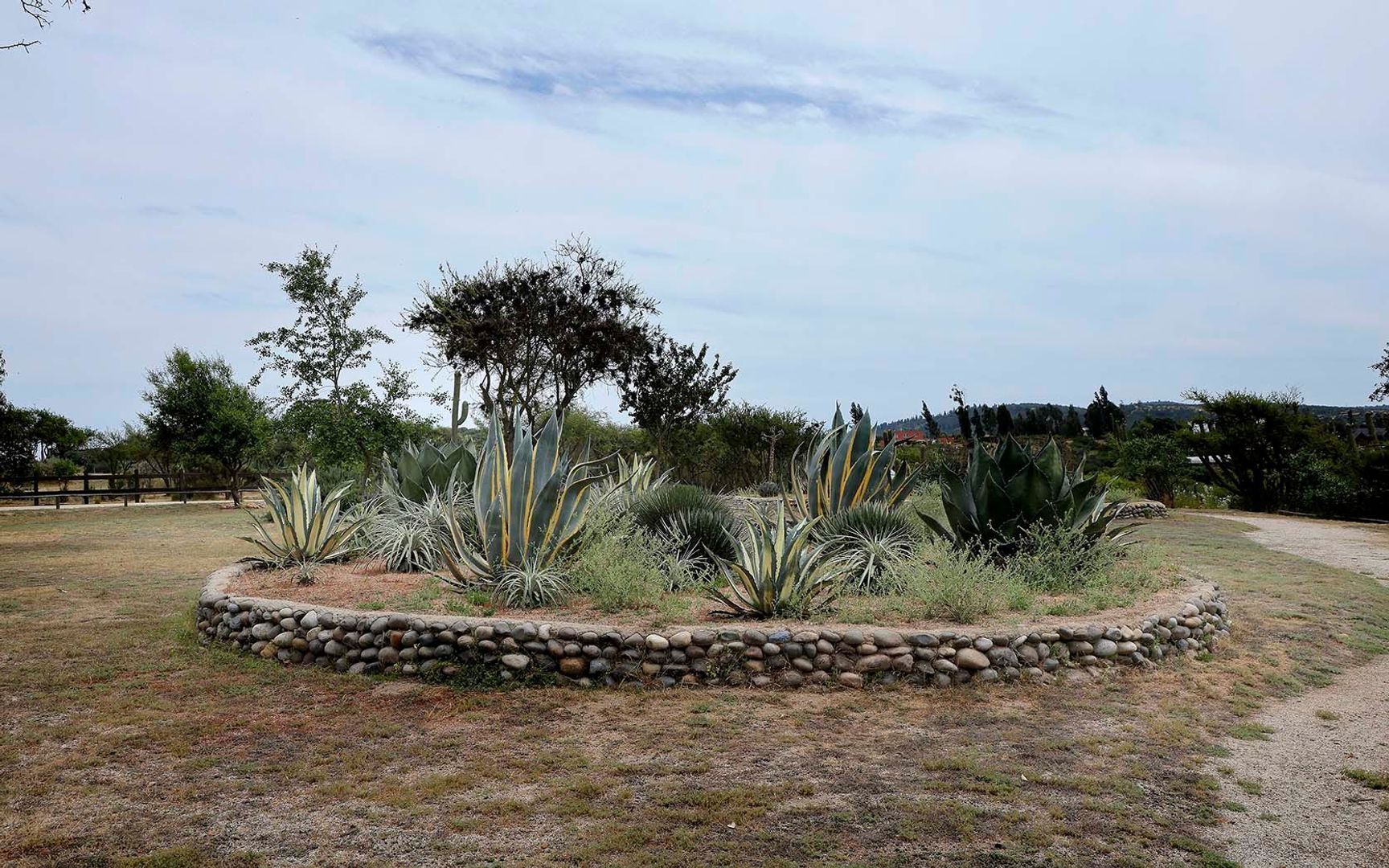 Calle Amancay, Limache foto-47