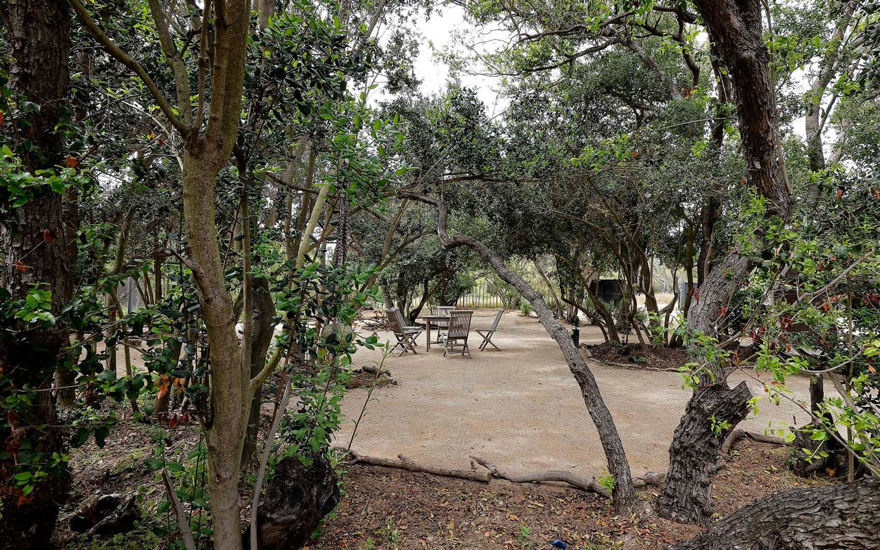 Calle Amancay, Limache foto-37