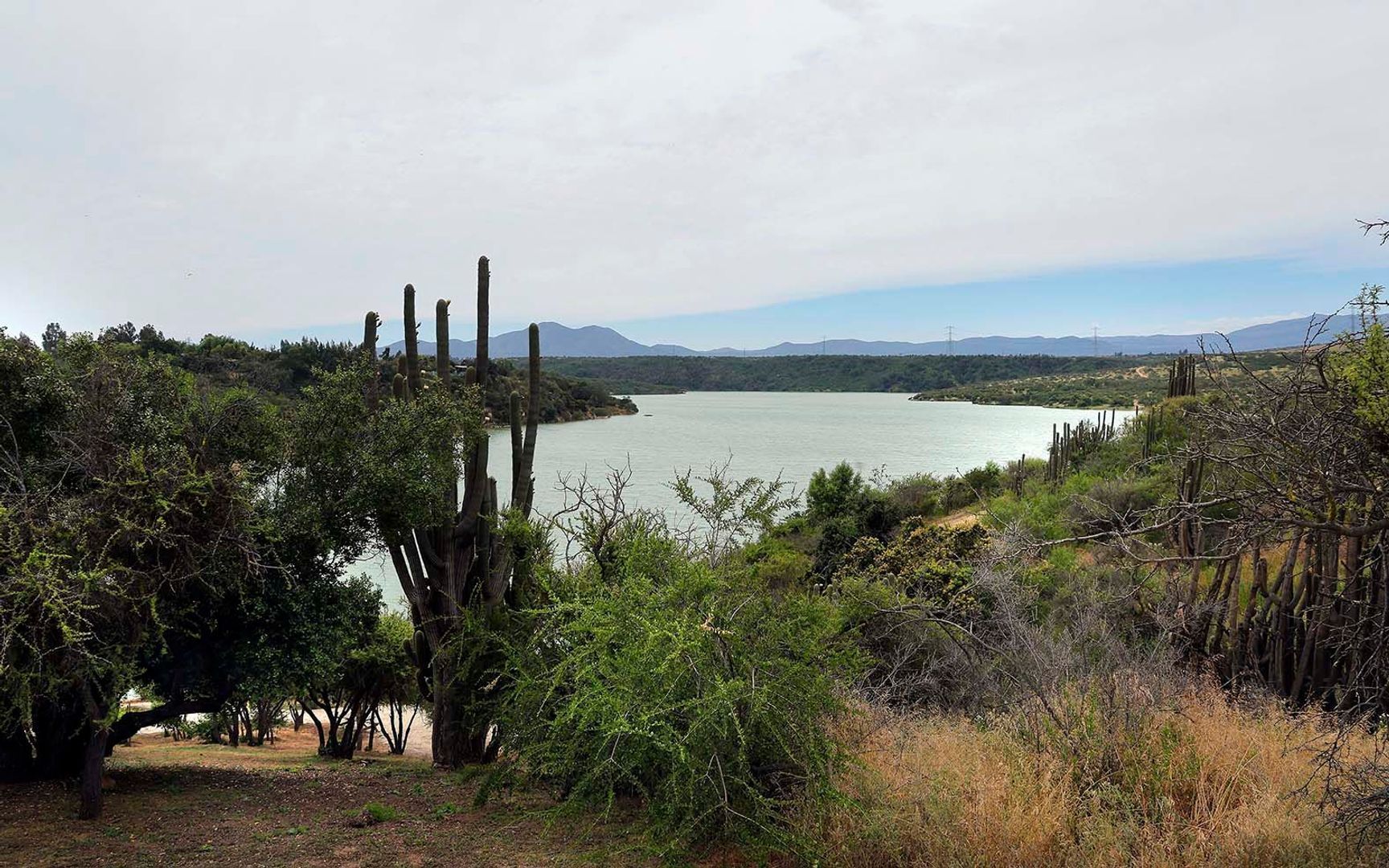 Calle Amancay, Limache foto-45