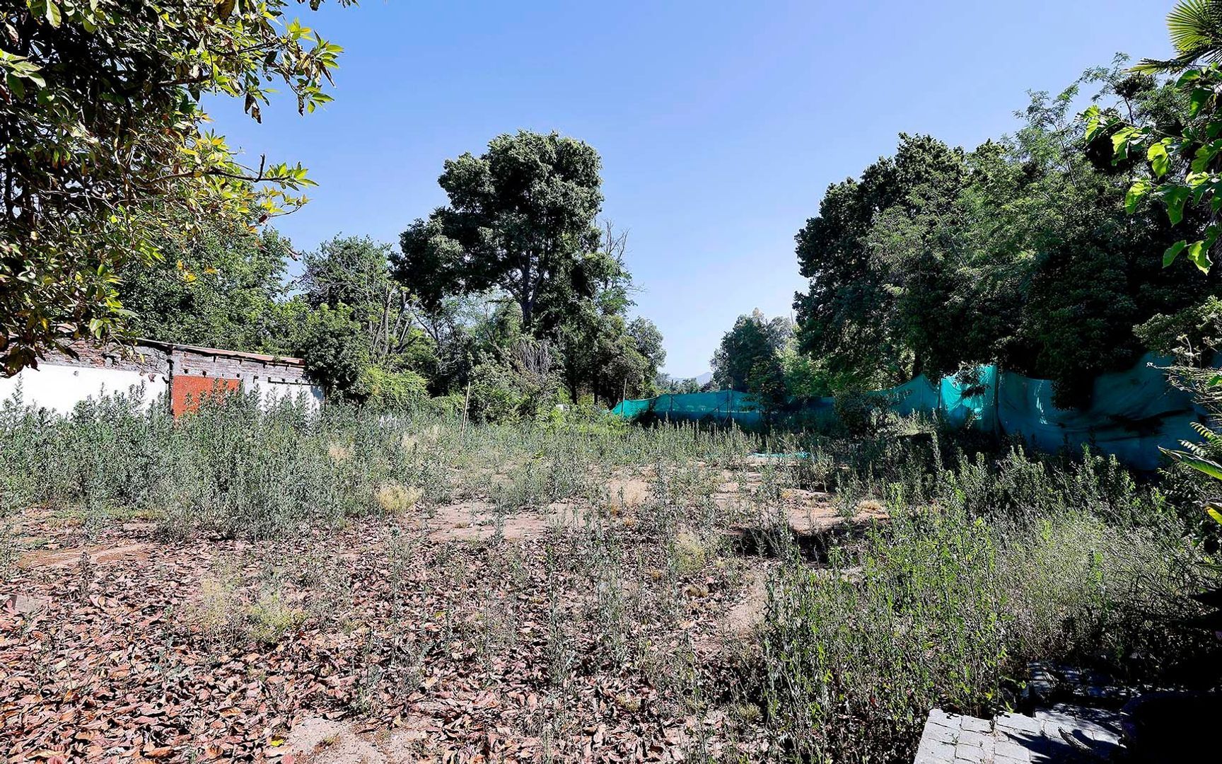 Nocedal, Santiago foto-7