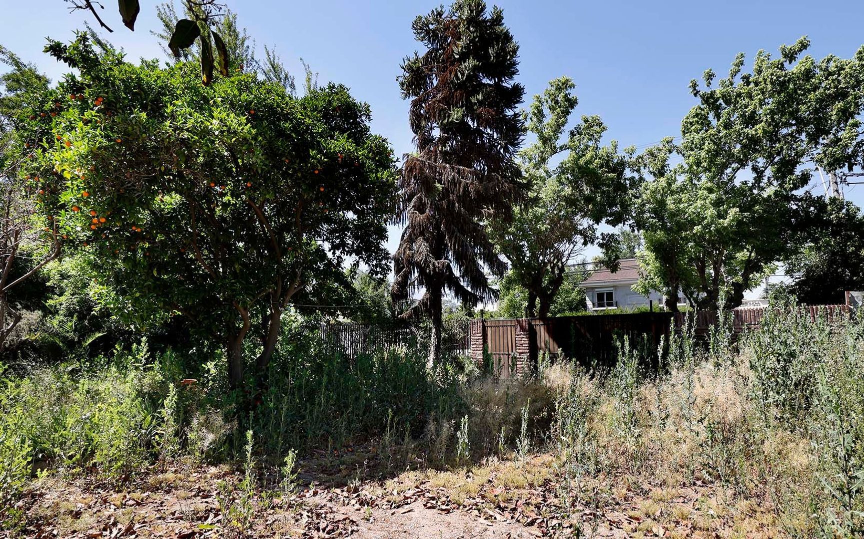 Nocedal, Santiago foto-28