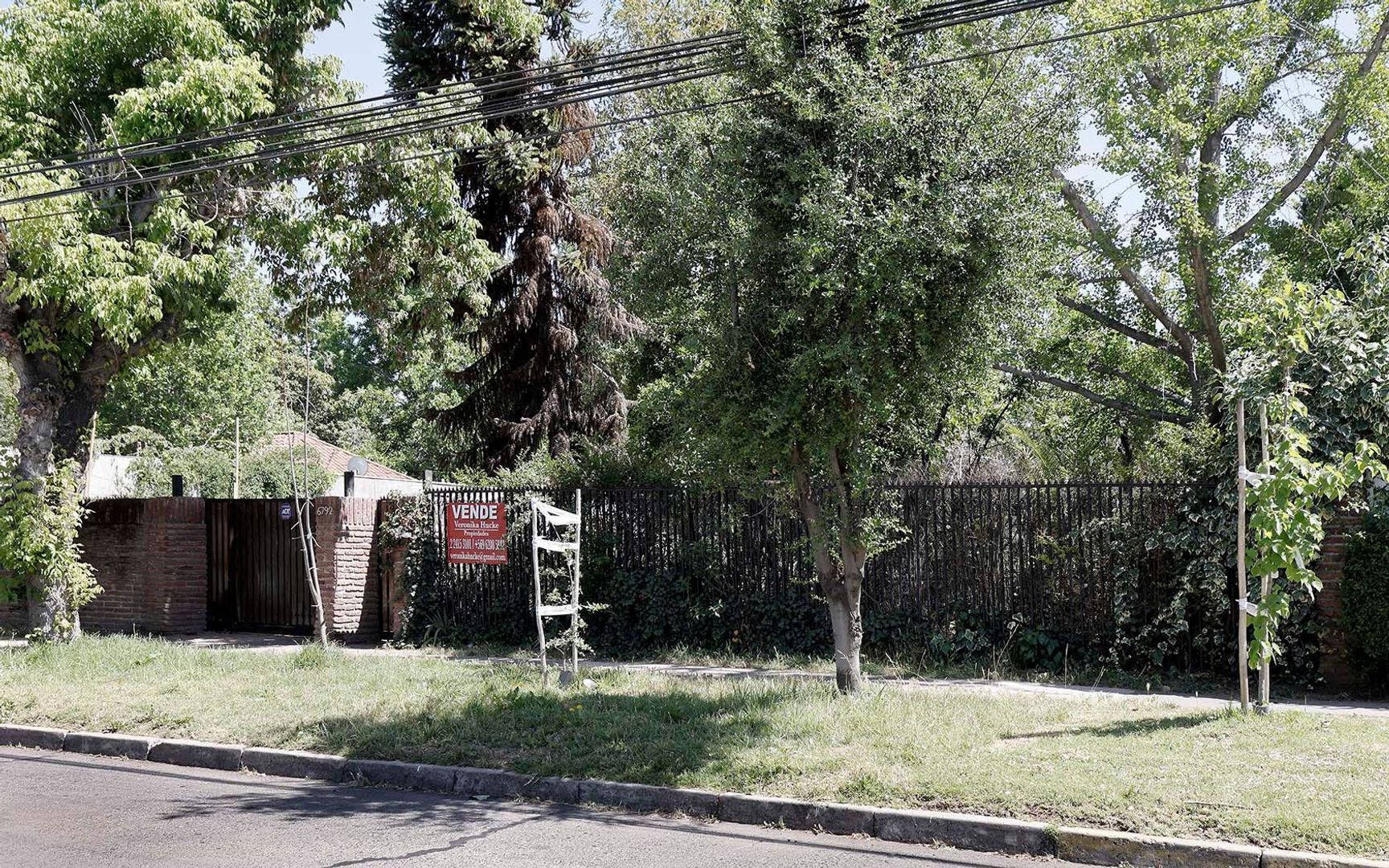 Nocedal, Santiago foto-0