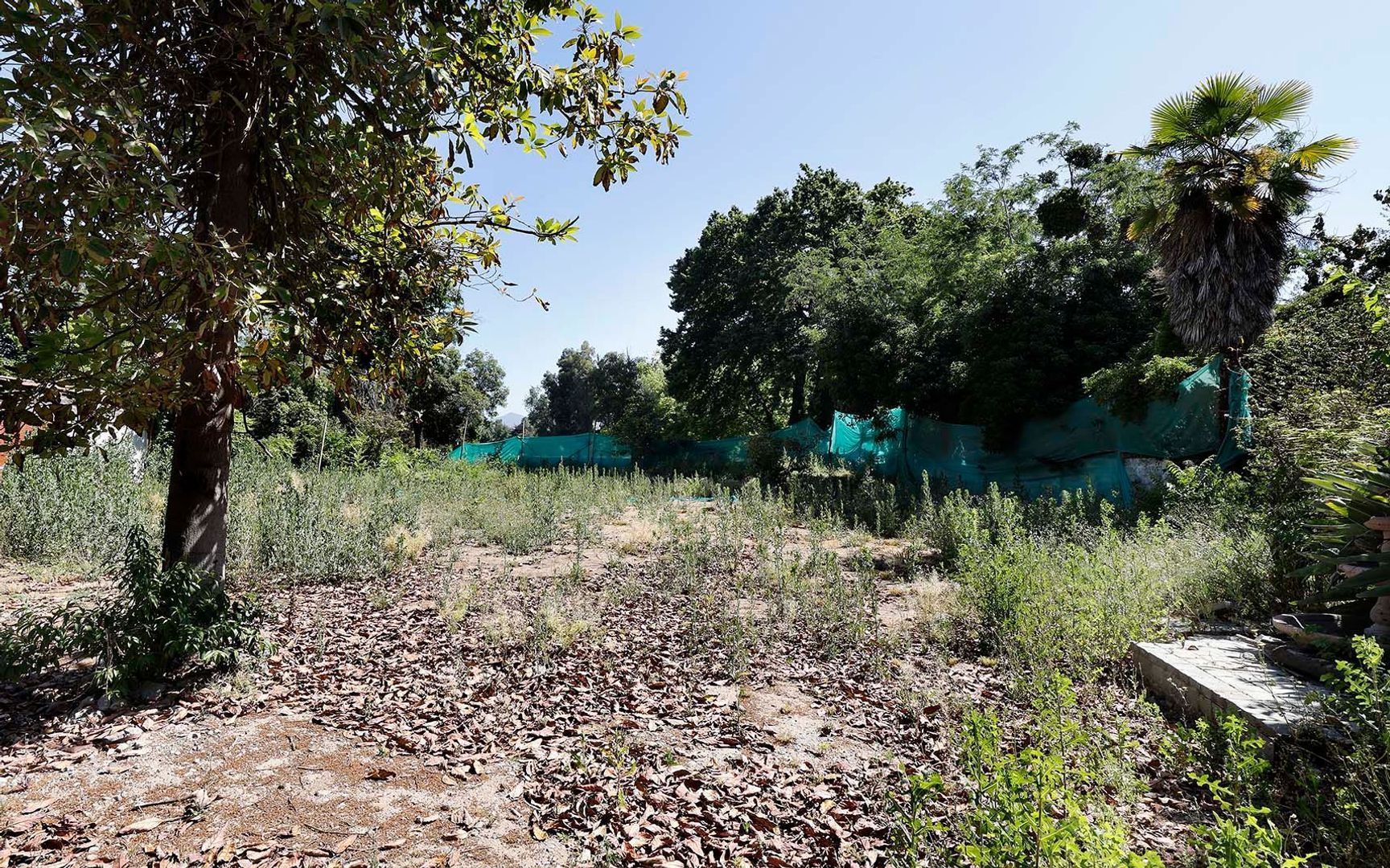 Nocedal, Santiago foto-24