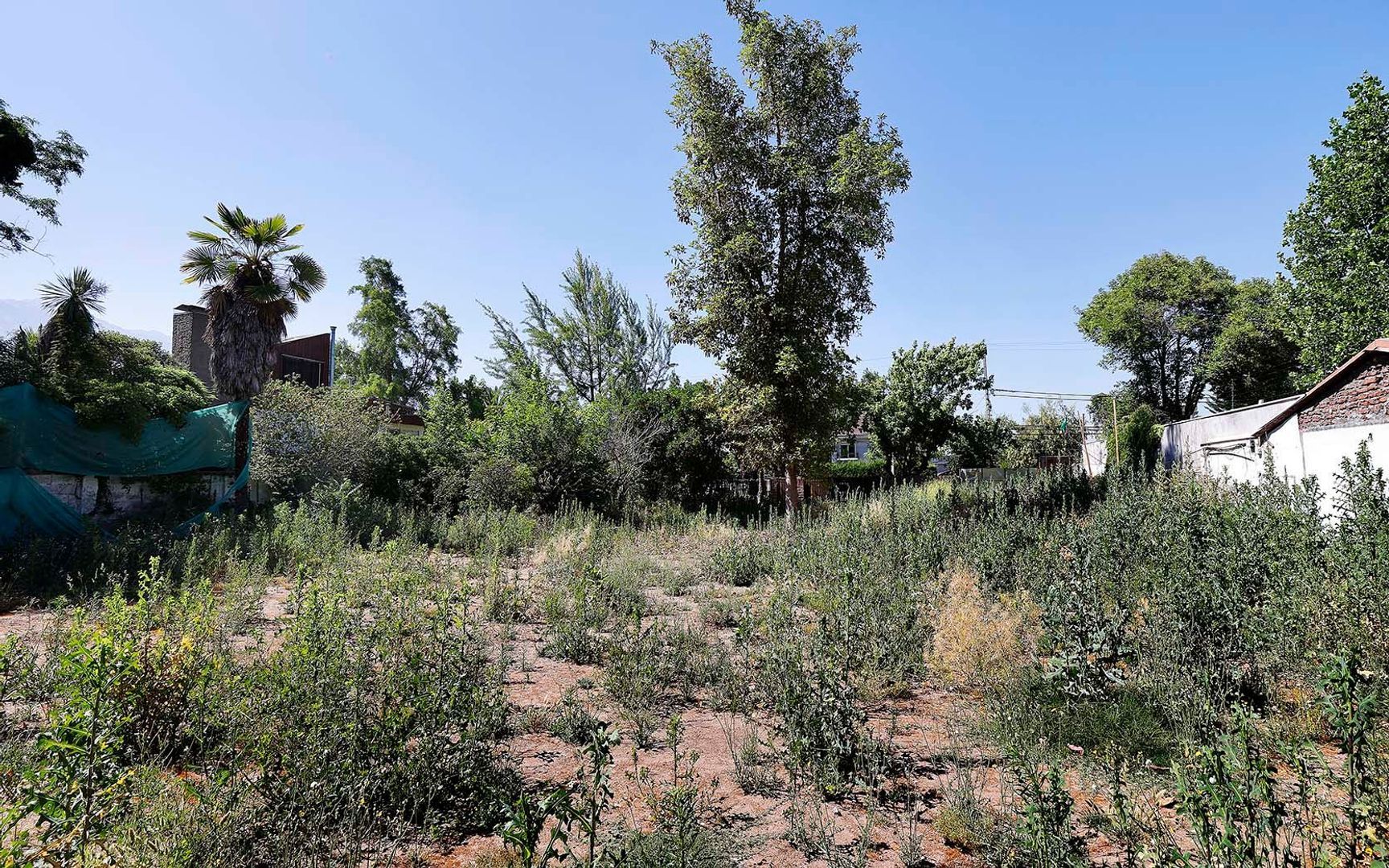 Nocedal, Santiago foto-12