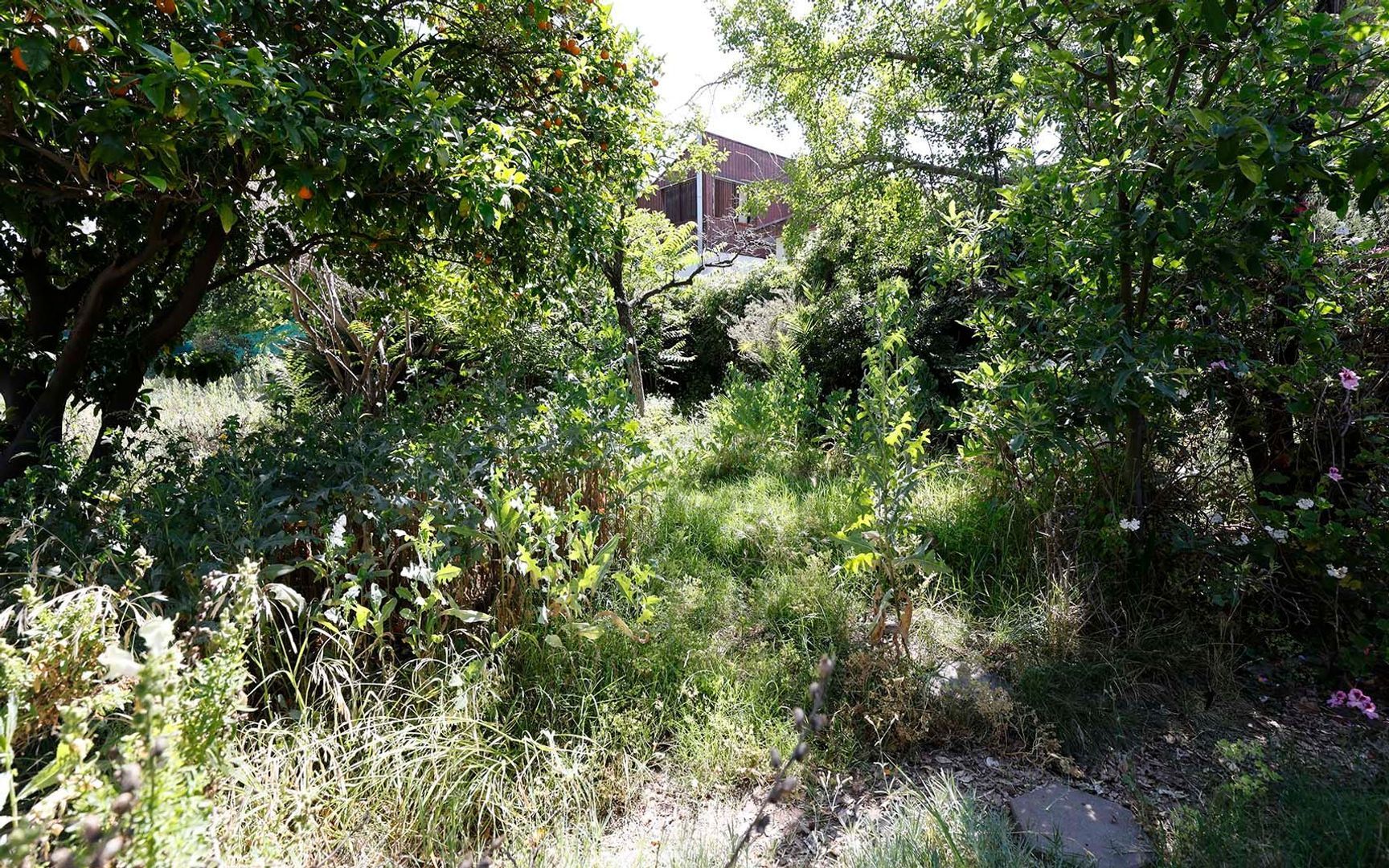 Nocedal, Santiago foto-23