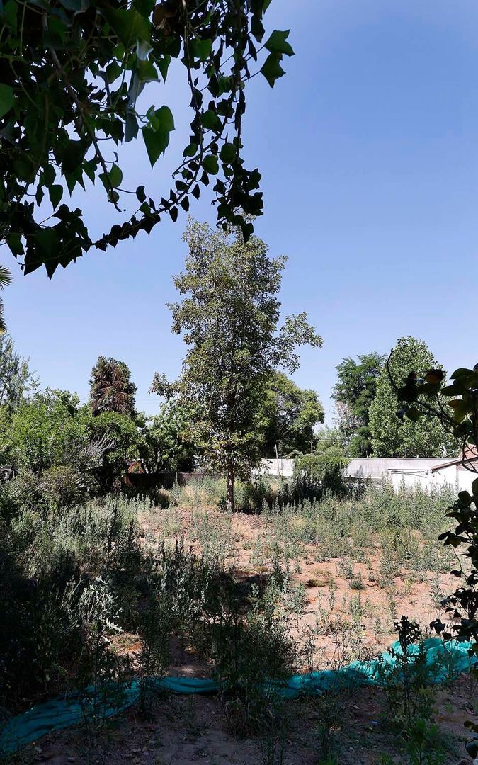 Nocedal, Santiago foto-26