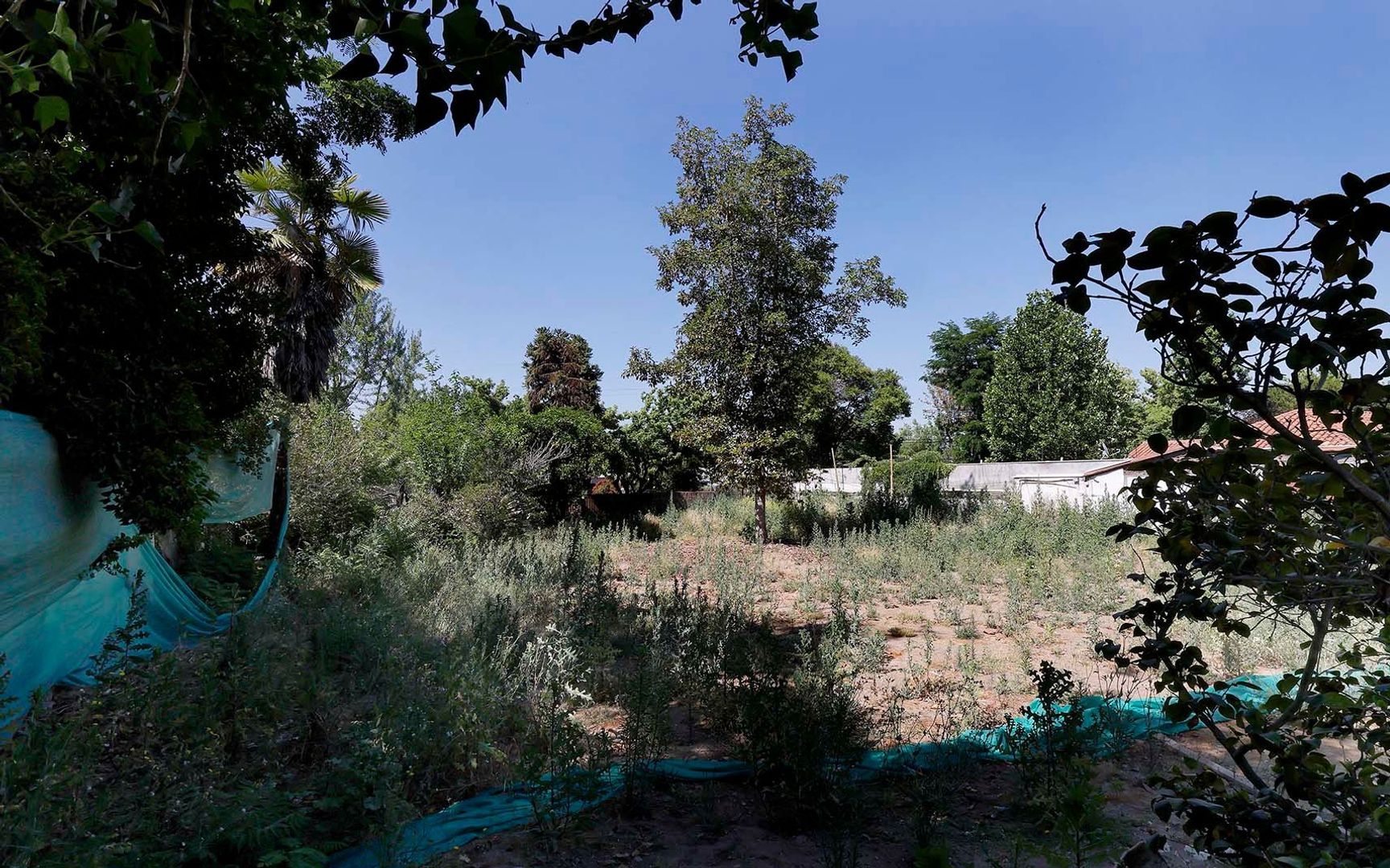 Nocedal, Santiago foto-25